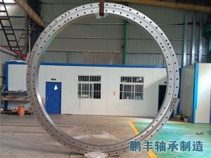 轉(zhuǎn)盤(pán)軸承